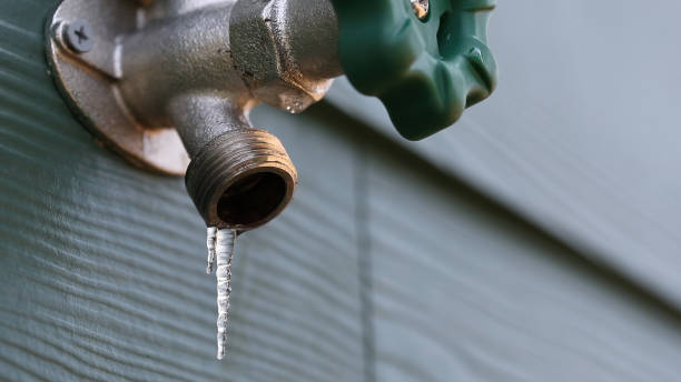 Best Local Plumber Services  in Wauwatosa, WI